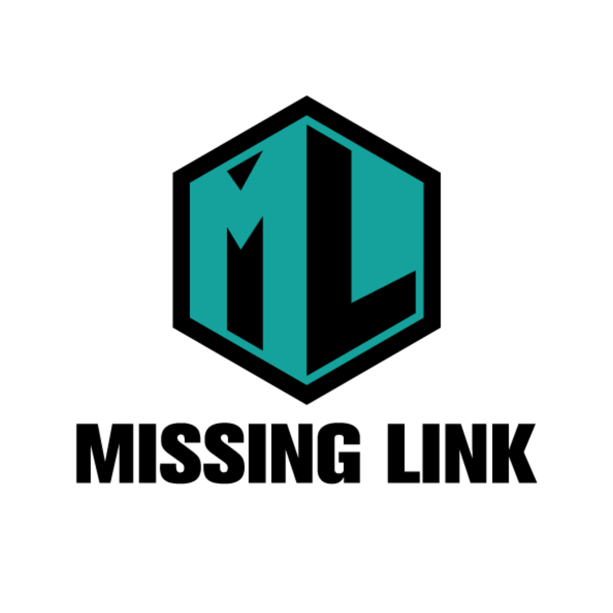 Missing Link Logo
